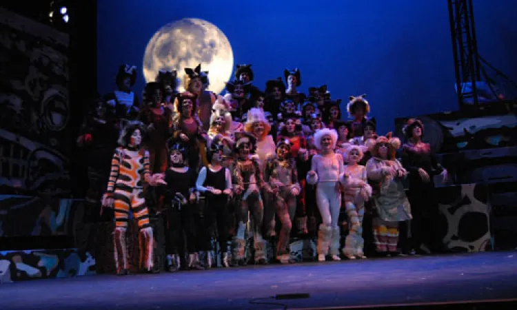 Mendocino College Production of Cats