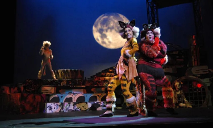 Mendocino College Production of Cats