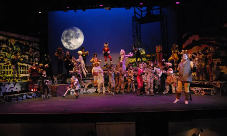 Mendocino College Production of Cats