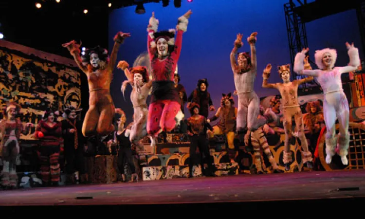 Mendocino College Production of Cats