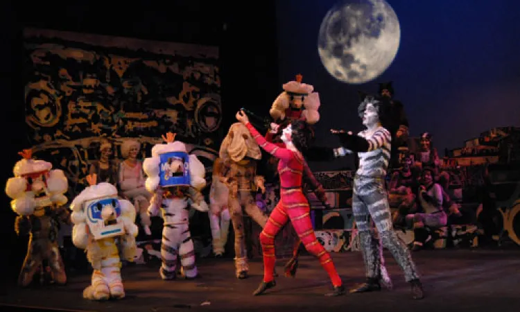 Mendocino College Production of Cats