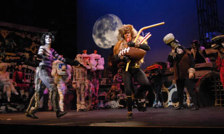 Mendocino College Production of Cats