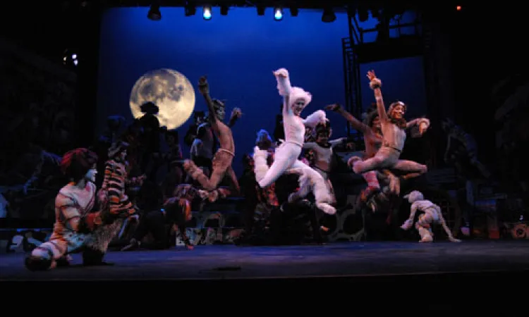 Mendocino College Production of Cats