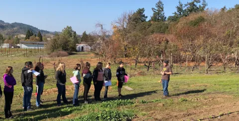 group of students on a tour