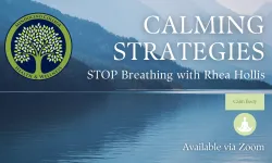 Banner promoting Calming Strategies workshop. Contains a blue-toned, peaceful lake and mountains in the background with text and Health & Wellness logo in the foreground.