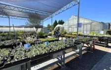Agriculture department greenhouses and plants